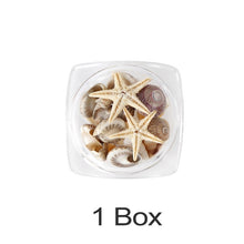 Load image into Gallery viewer, 1/2/5Box Natural Mini Conch Shells Starfish Sea Beach Ornaments Shell Design Conch Epoxy Mold Filling Home Deco Manicure Tools

